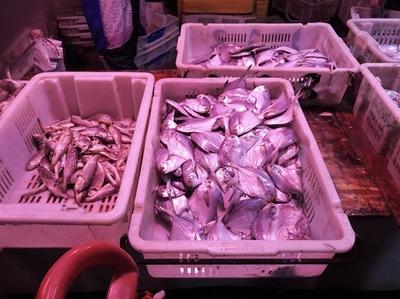【4.18菜價(jià)】青島商超及批發(fā)市場(chǎng)果蔬最新價(jià)格