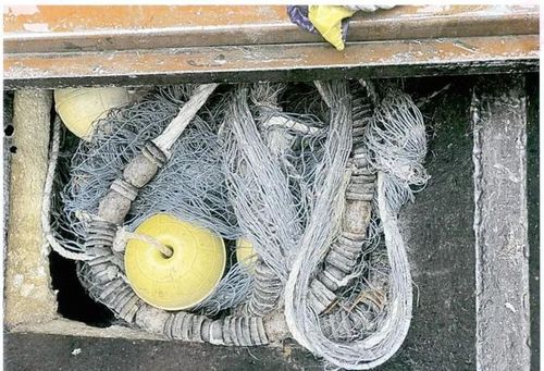 "長江禁捕"背后的檢察力量:禁漁期內(nèi)非法捕撈水產(chǎn)品,9人獲刑!