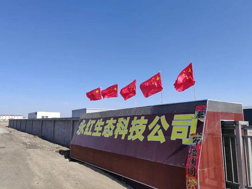 生化黃腐酸領軍企業收購礦源腐植酸工廠 有大布局