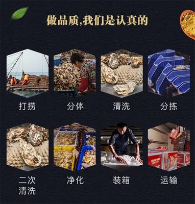 乳山生蠔廣東豐順批發(fā) 生蠔怎么做好吃又營(yíng)養(yǎng)