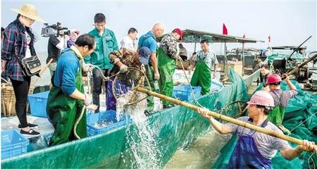 是禁漁還是退捕?見(jiàn)證太湖最后的傳統(tǒng)捕魚(yú)季