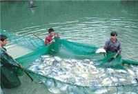 玉米_玉米供貨商_烤玉米爐價(jià)格,沈陽(yáng)海地商貿(mào),通化烤玉米爐_玉米價(jià)格_沈陽(yáng)海地商貿(mào)