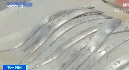 一棵大白菜賣24元 伙食費(fèi)竟成家庭支出最大占比...這里發(fā)生了什么