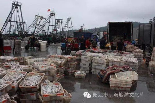 投資1.3億元 廣東陽(yáng)江閘坡水產(chǎn)品交易物流中心將成新熱點(diǎn)