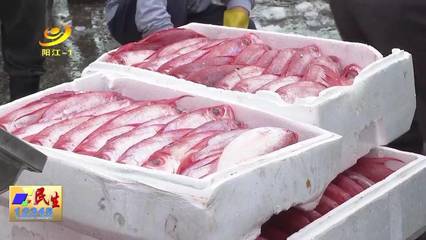 閘坡漁港:大型作業(yè)漁船回港 魚貨上場(chǎng)量達(dá)300噸