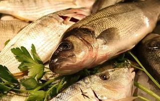 6月熱點丨你不可不知的農(nóng)業(yè)大新聞