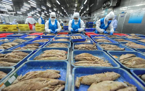 山東藍(lán)潤收購的九硒榮成海帶 金槍魚罐頭再冠新名牌