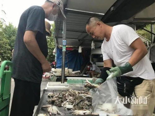 不買螃蟹就虧了 南方螃蟹供應(yīng)大增 性價(jià)比高,倍受老百姓青睞