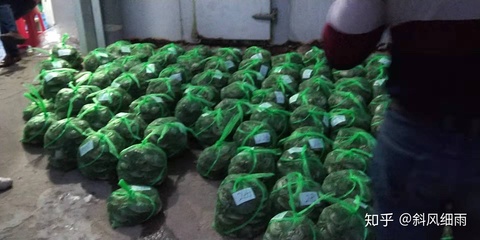 為什么很多螃蟹都用黑白相間的繩子綁?