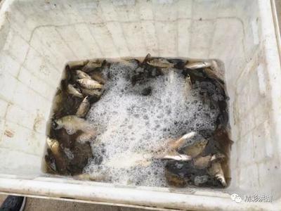 這件事千萬不能干!洪湖已有4人被抓