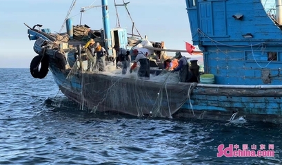開(kāi)海啦! 記者出海一線探訪郭老三頭船本地螃蟹上市