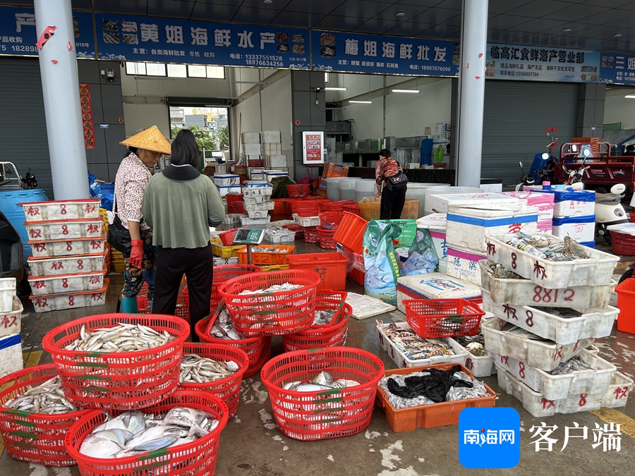 臨高:漁船回港漁獲多 水產(chǎn)市場(chǎng)交易忙